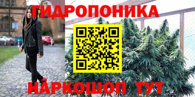 сатива Мариинск