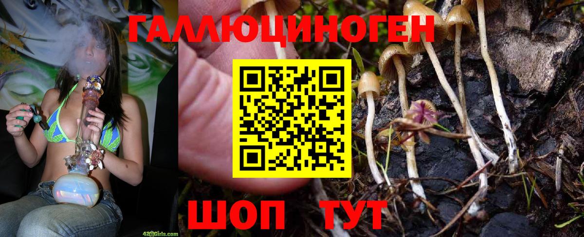 что такое   Вход с VPN  Галлюциногенные грибы MAGIC MUSHROOMS  Владивосток  Псилоцибиновые грибы Magic Shrooms 